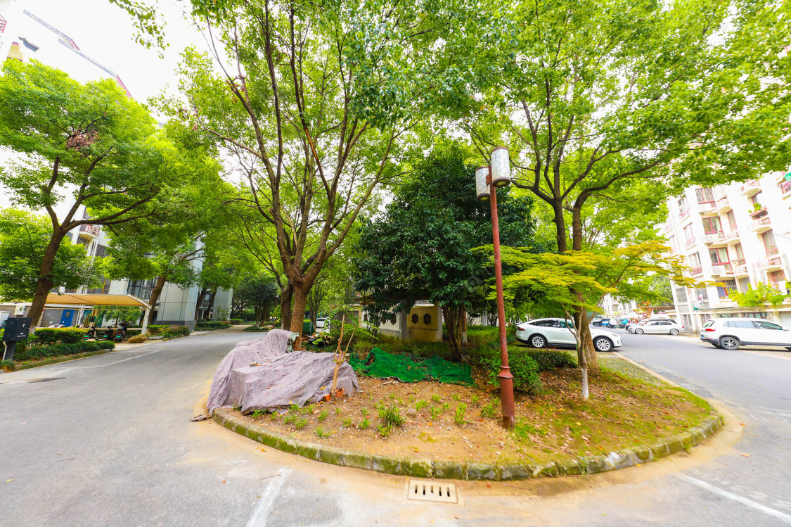 苏州向阳新村小区_向阳新村小区实景图