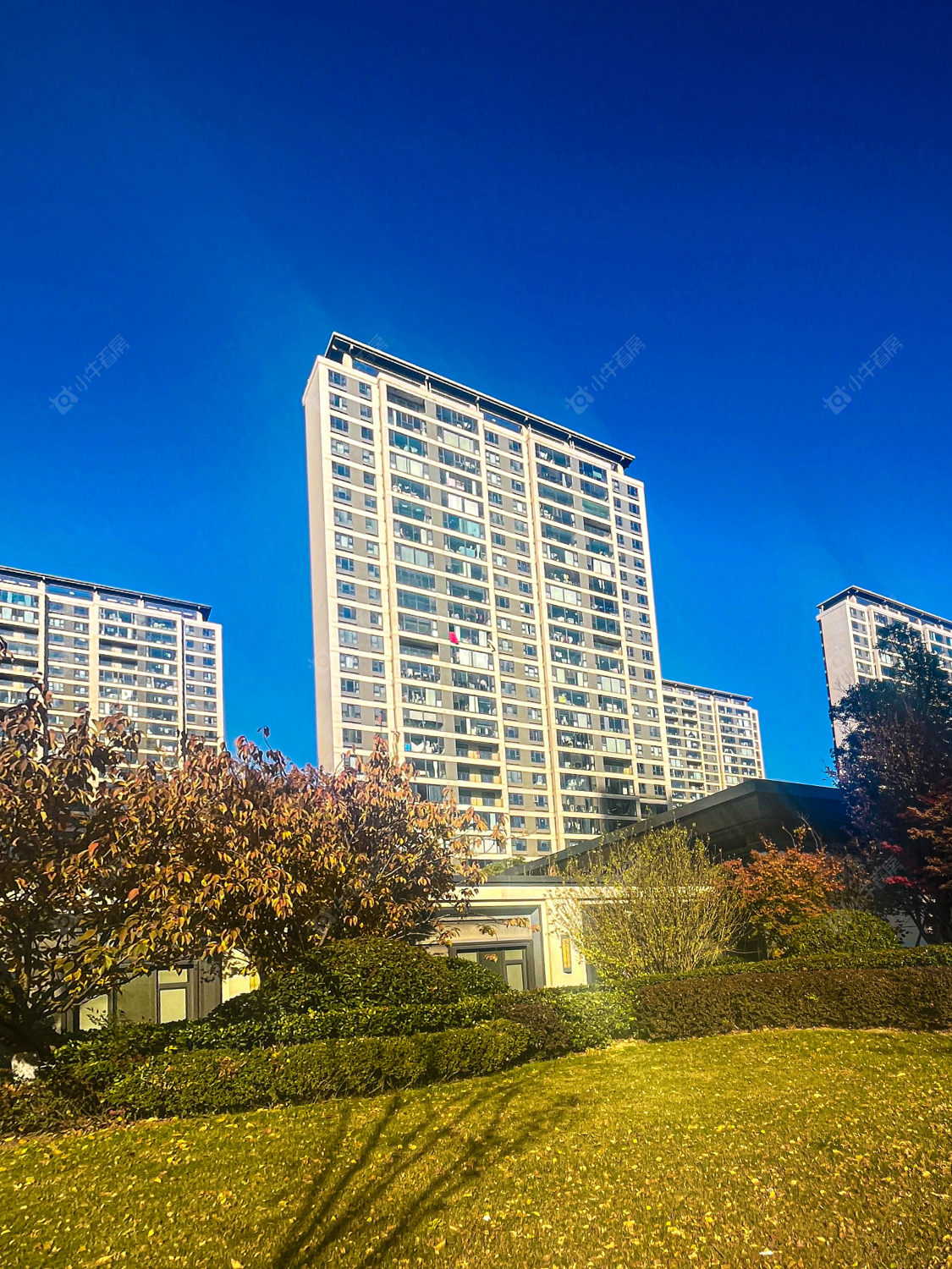 苏州金茂悦湖雅居小区_金茂悦湖雅居小区实景图