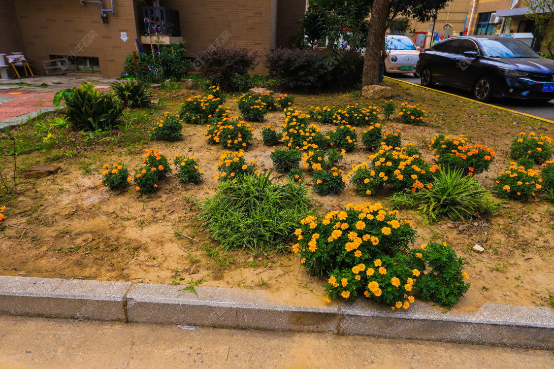 苏州合兴花苑小区_合兴花苑小区实景图