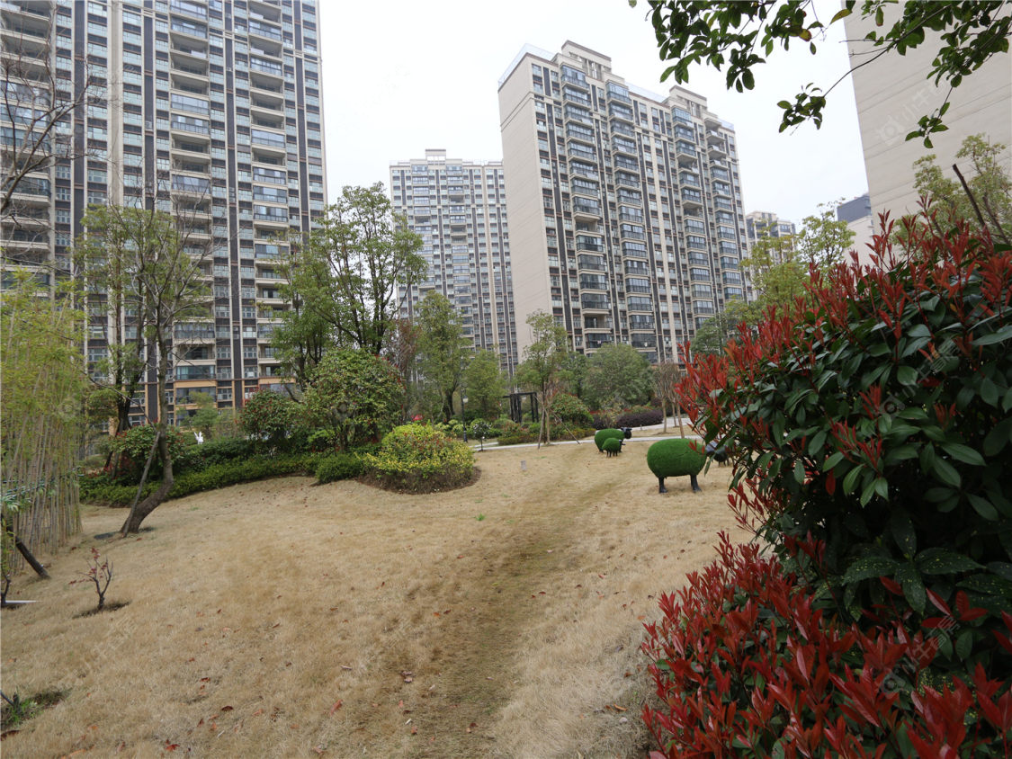 苏州翡翠湾小区_翡翠湾小区null