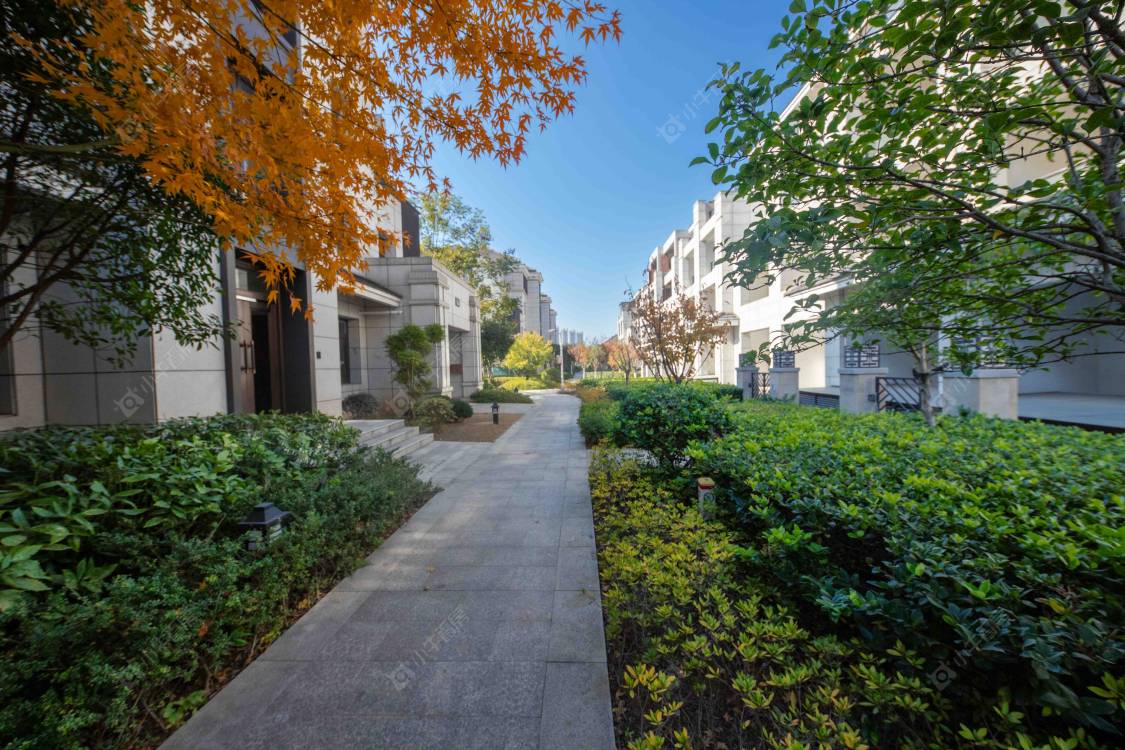 苏州伟业和璞院小区_伟业和璞院小区实景图