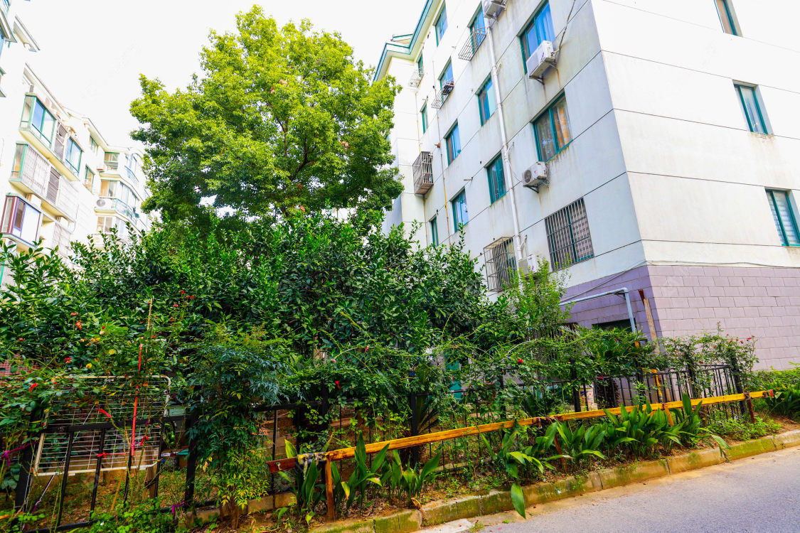 苏州南城花园小区_南城花园小区null