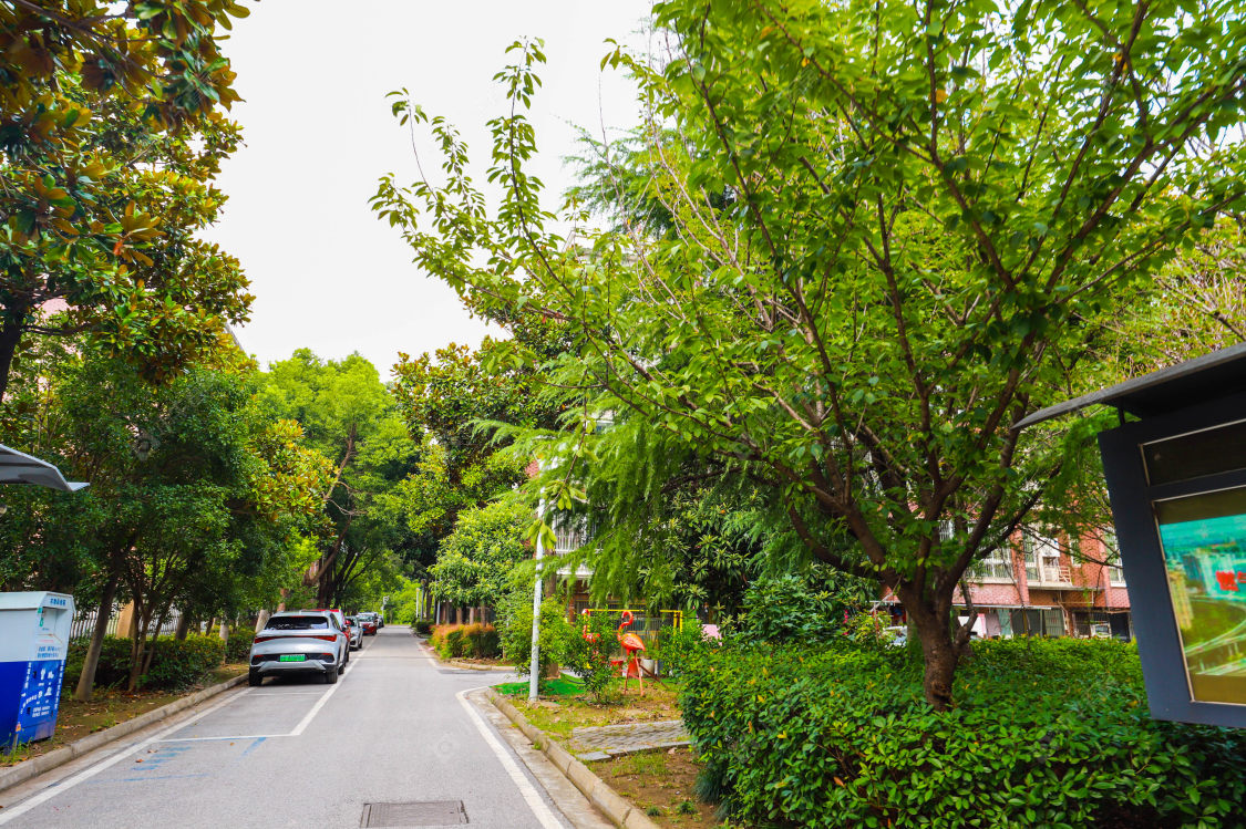 苏州大南花苑小区_大南花苑小区实景图