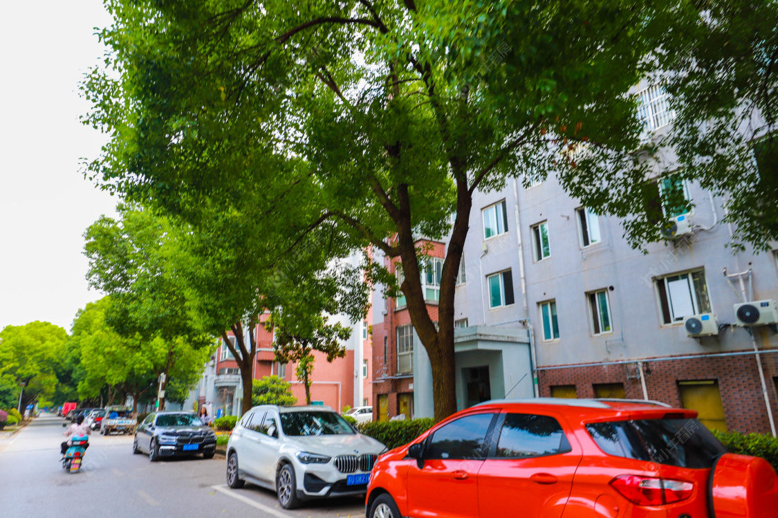 苏州大南花苑小区_大南花苑小区实景图