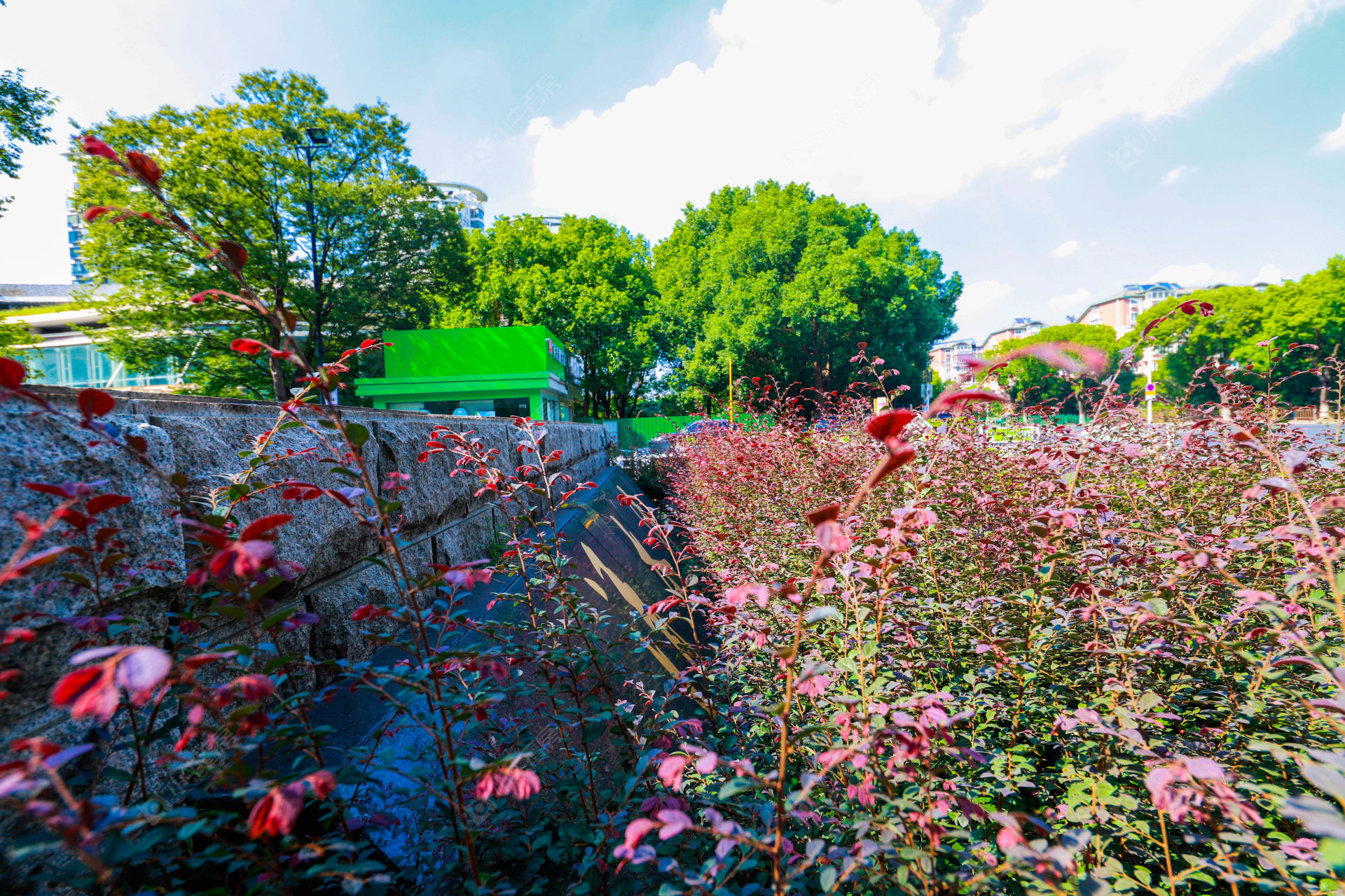 苏州清水湾(张家港)小区_清水湾(张家港)小区undefined