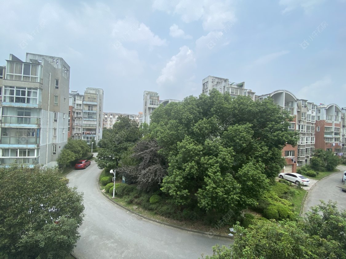 苏州锦荷佳苑小区_锦荷佳苑小区null