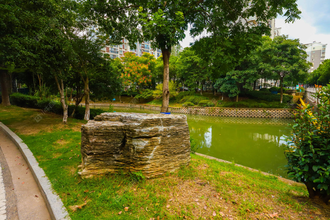 苏州新南社区(二期)小区_新南社区(二期)小区实景图