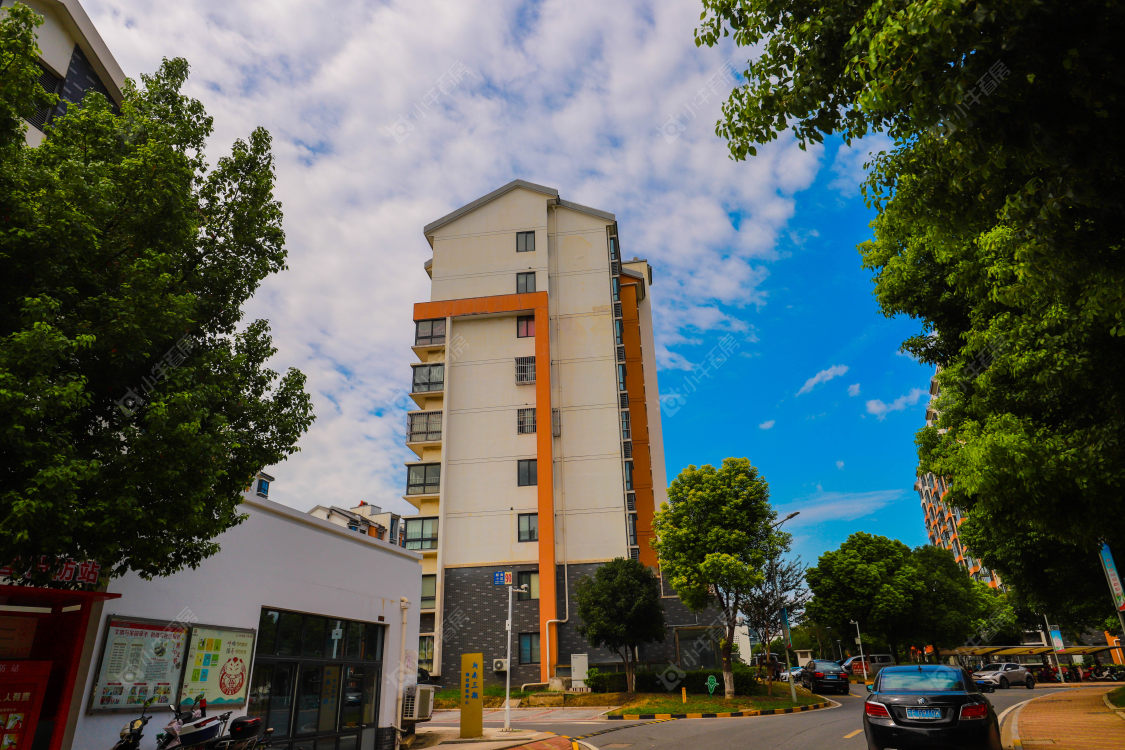 苏州新南社区(三期)小区_新南社区(三期)小区实景图