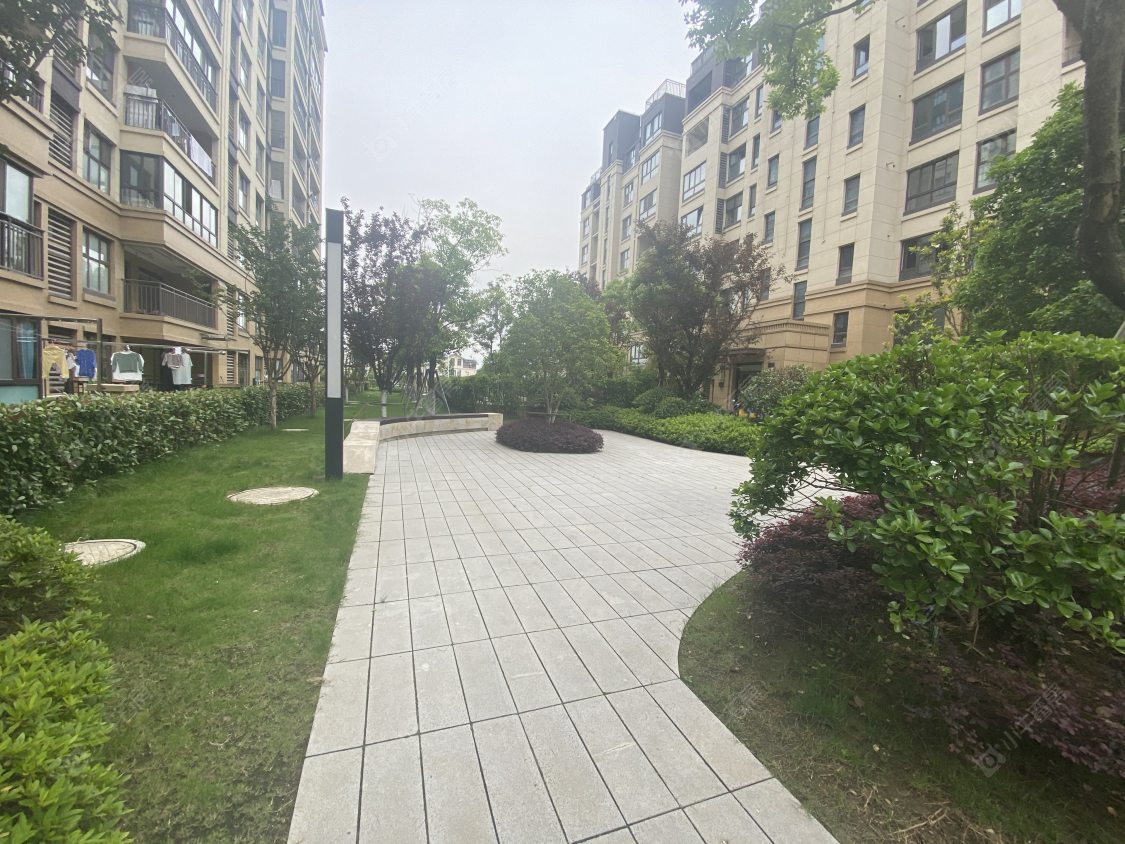 苏州金科集美院小区_金科集美院小区null