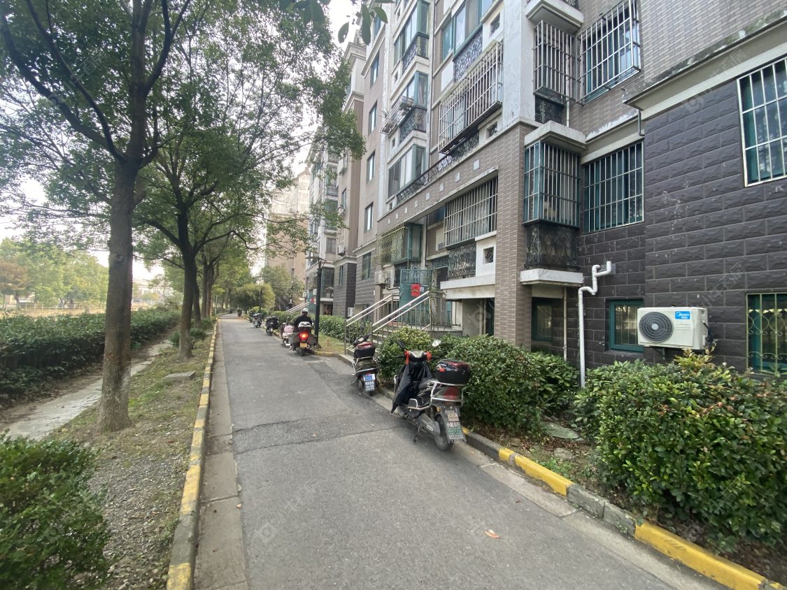 苏州银河柳岸小区_银河柳岸小区null