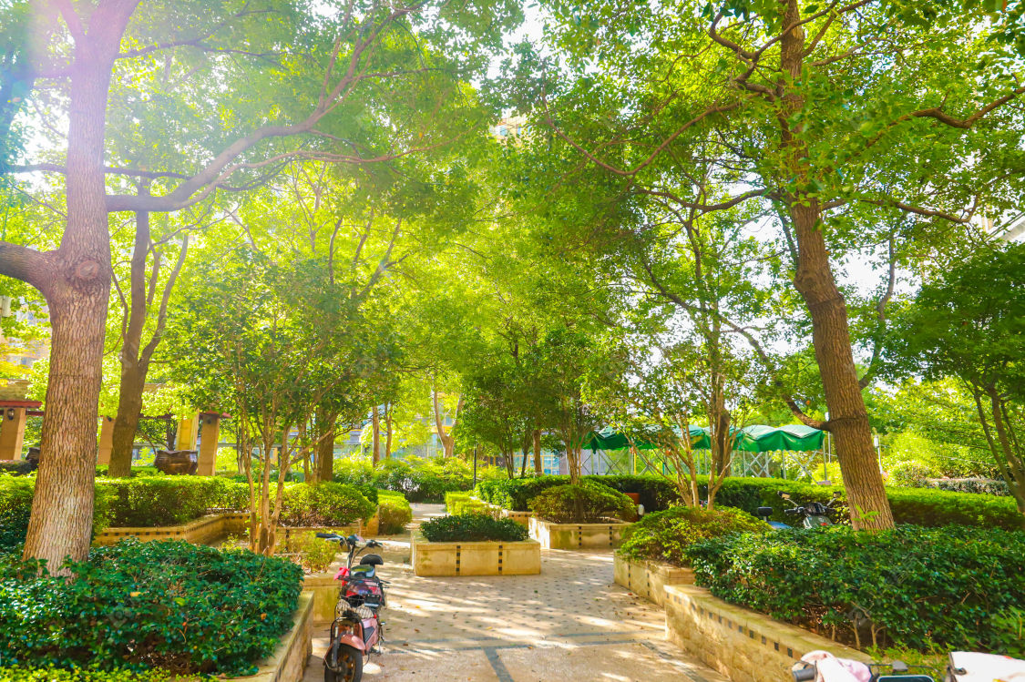 苏州暨阳湖皇冠小区_暨阳湖皇冠小区实景图