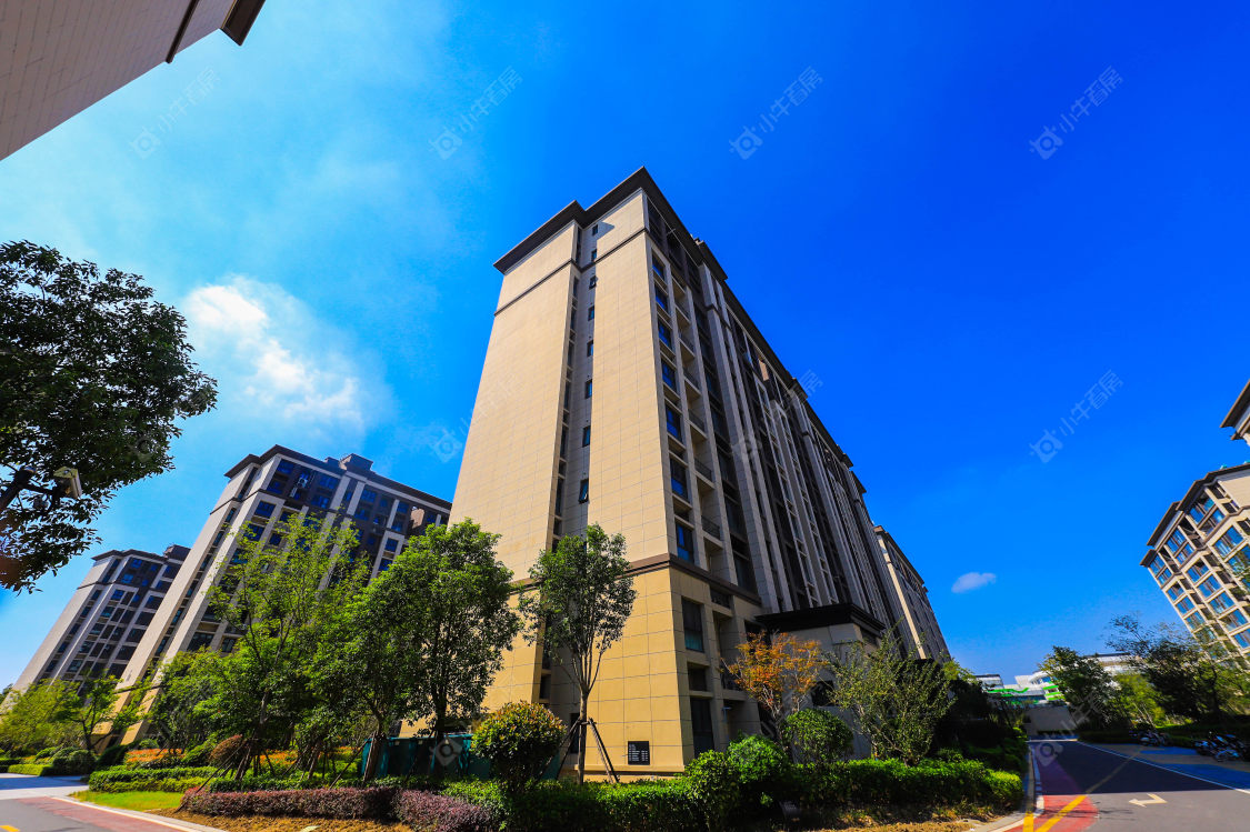 苏州锦鲤花园小区_锦鲤花园小区实景图