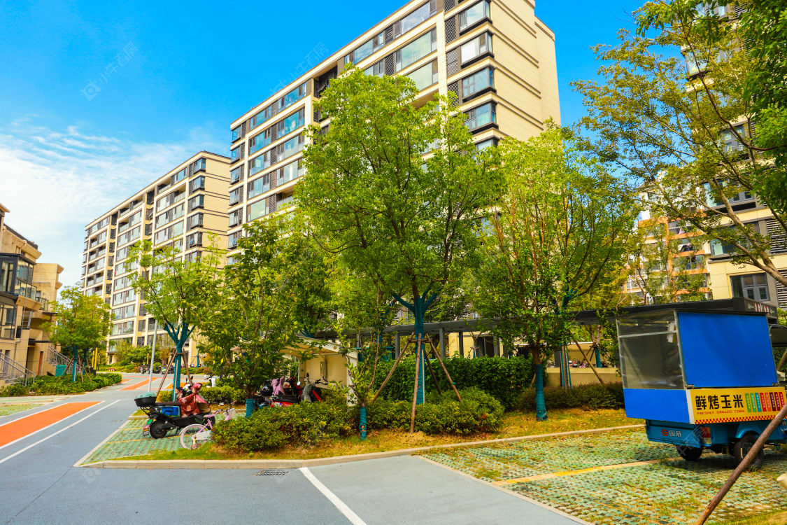 苏州新湖壹号小区_新湖壹号小区实景图