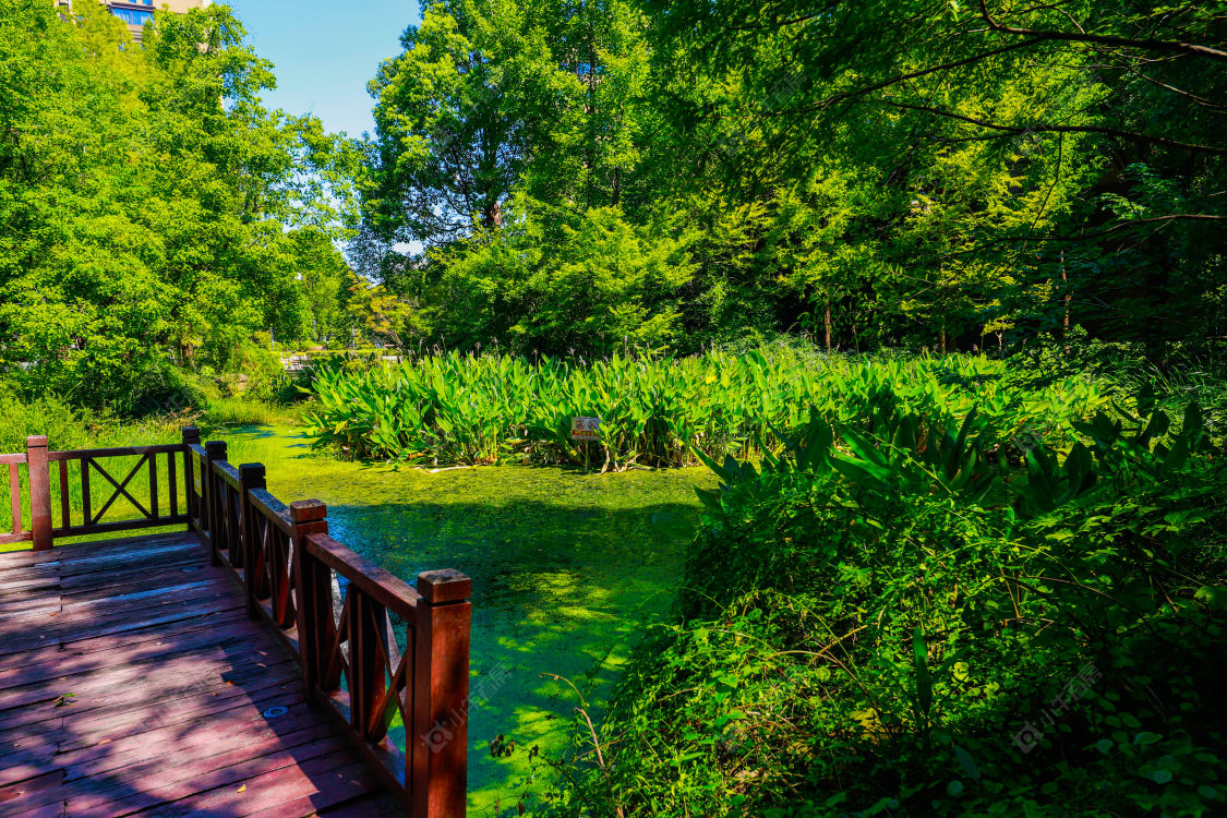 苏州阳光里程小区_阳光里程小区null